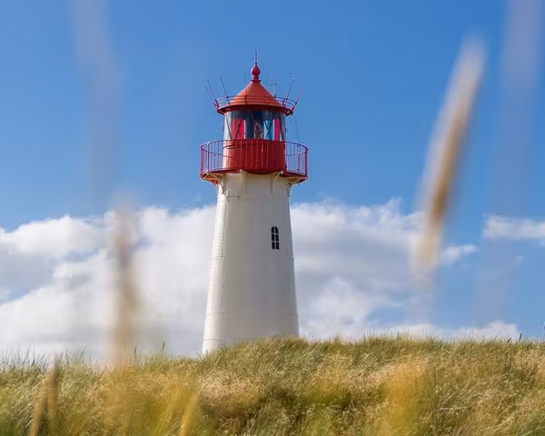 Bild von Sylt